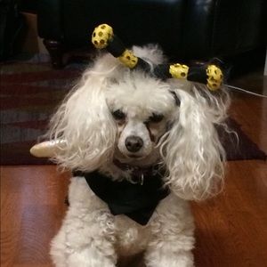 Meet your Posher, Jane